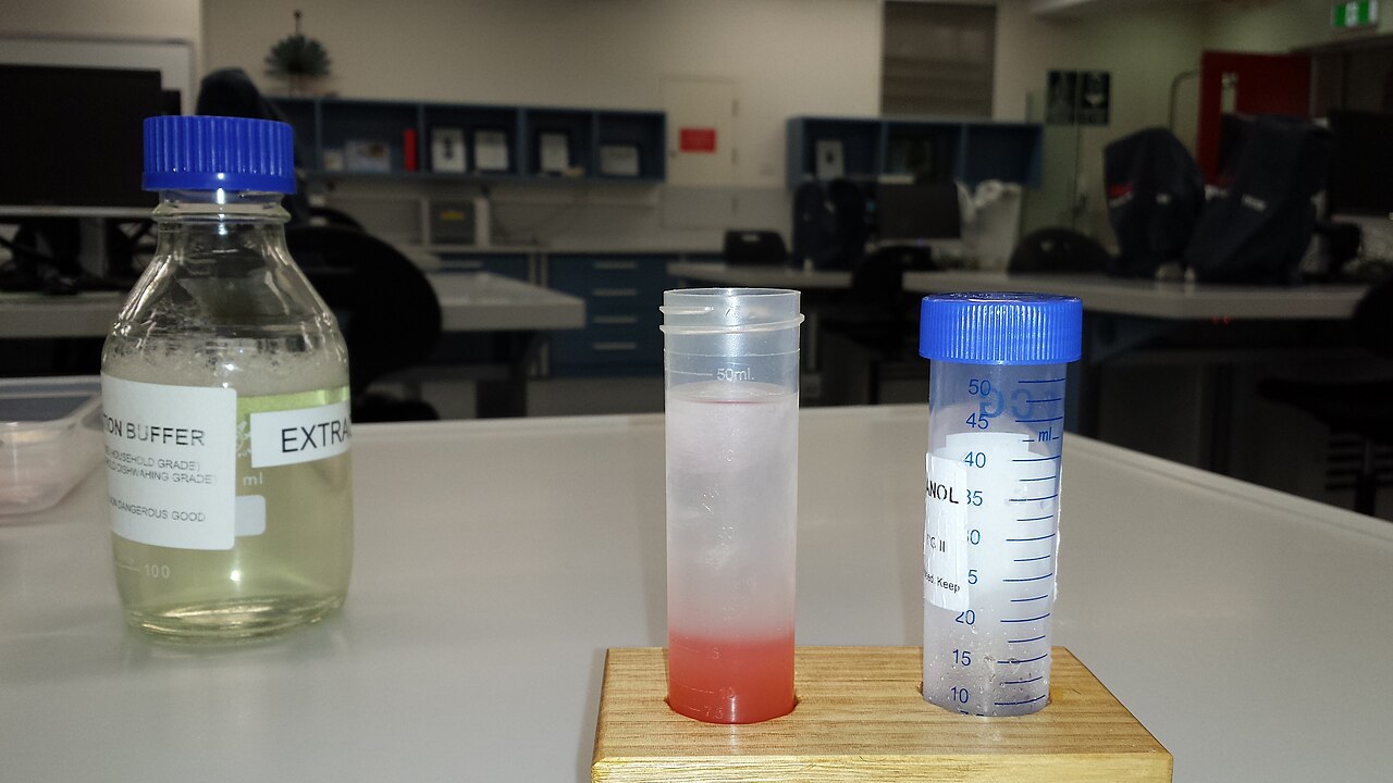 Labelled chemical bottles standing together on a laboratory bench
