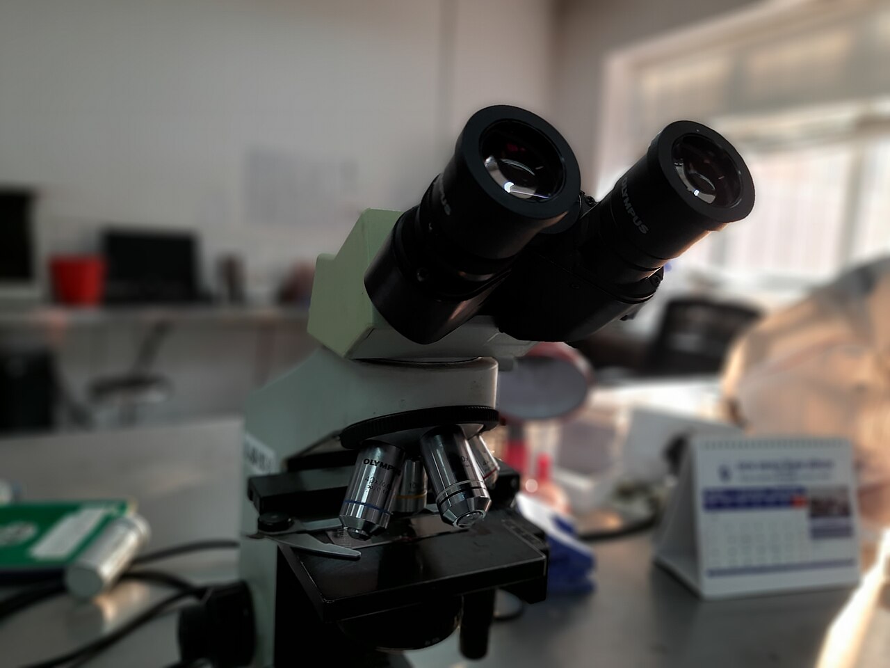 Compound light microscope with objective turret and stage, standing on a bench
