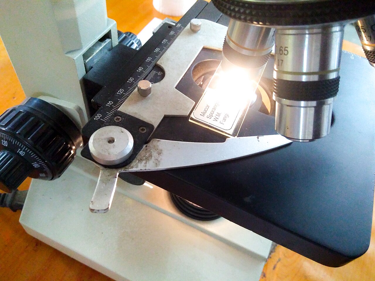 Compound microscope set up on a university laboratory bench
