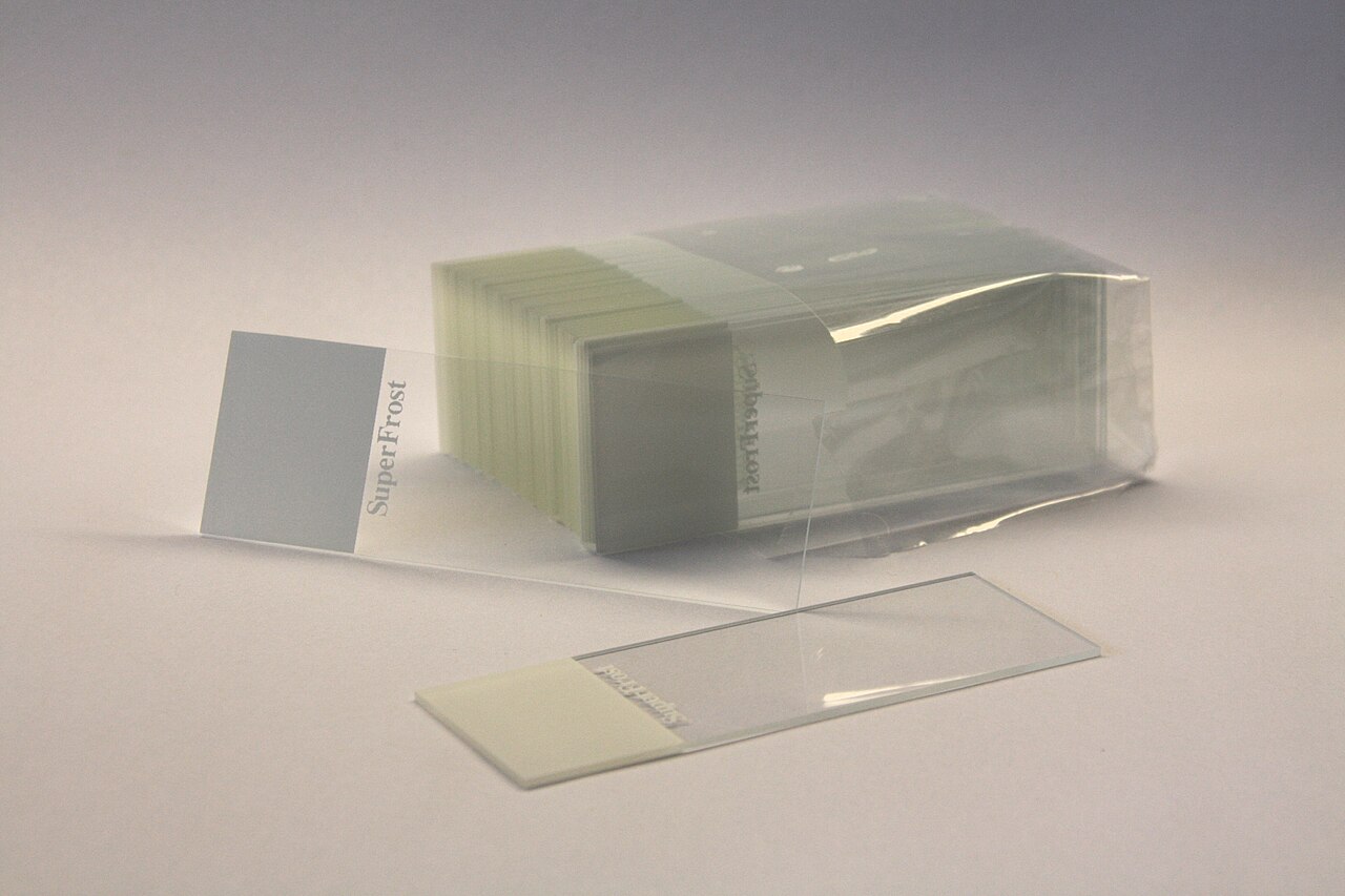 Set of blank 75 by 25 millimetre glass slides for light microscopy